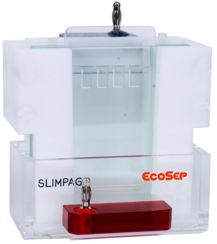 Slimpage - Vertical electrophoresis single sided system of gel size 4 x 8.5 cm